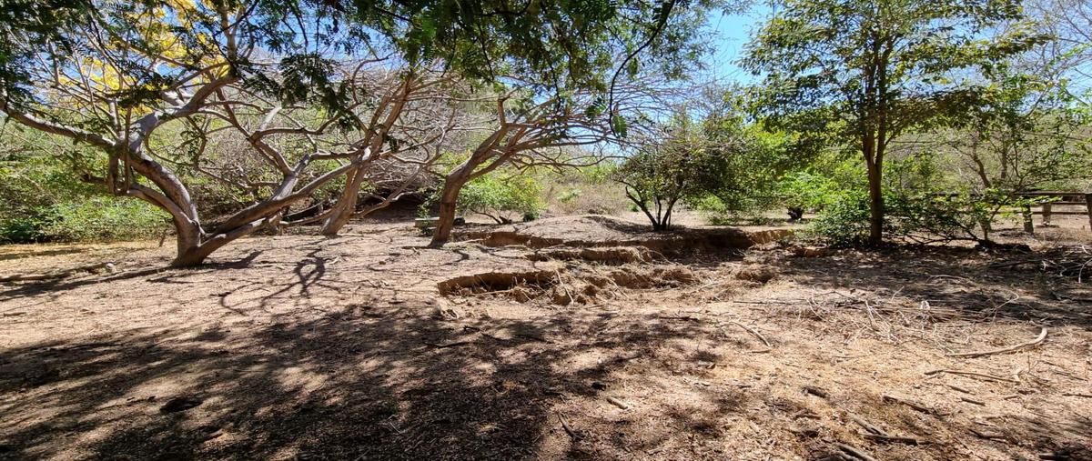 Foto de casa en venta en  , los órganos de san agustín (el quemado), acapulco de juárez, guerrero, 0 No. 05