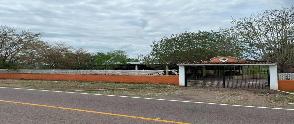 Foto de local en venta en  , los ortices, colima, colima, 0 No. 04