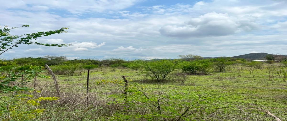 Foto de local en venta en  , los ortices, colima, colima, 0 No. 05