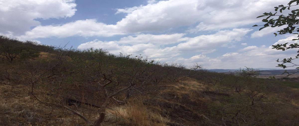 Foto de terreno habitacional en venta en  , los patos, calvillo, aguascalientes, 0 No. 03