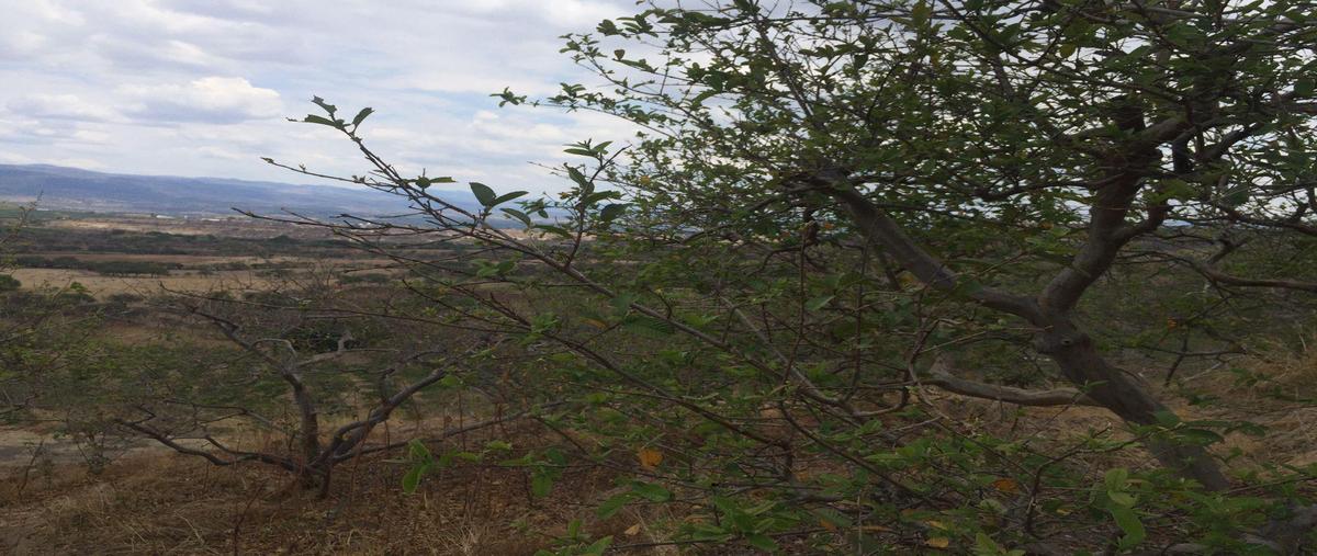 Foto de terreno habitacional en venta en  , los patos, calvillo, aguascalientes, 0 No. 05