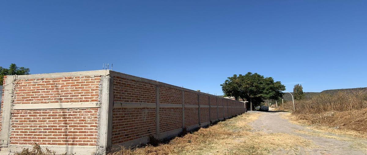 Foto de terreno habitacional en venta en  , los pedroza, san francisco del rincón, guanajuato, 0 No. 03