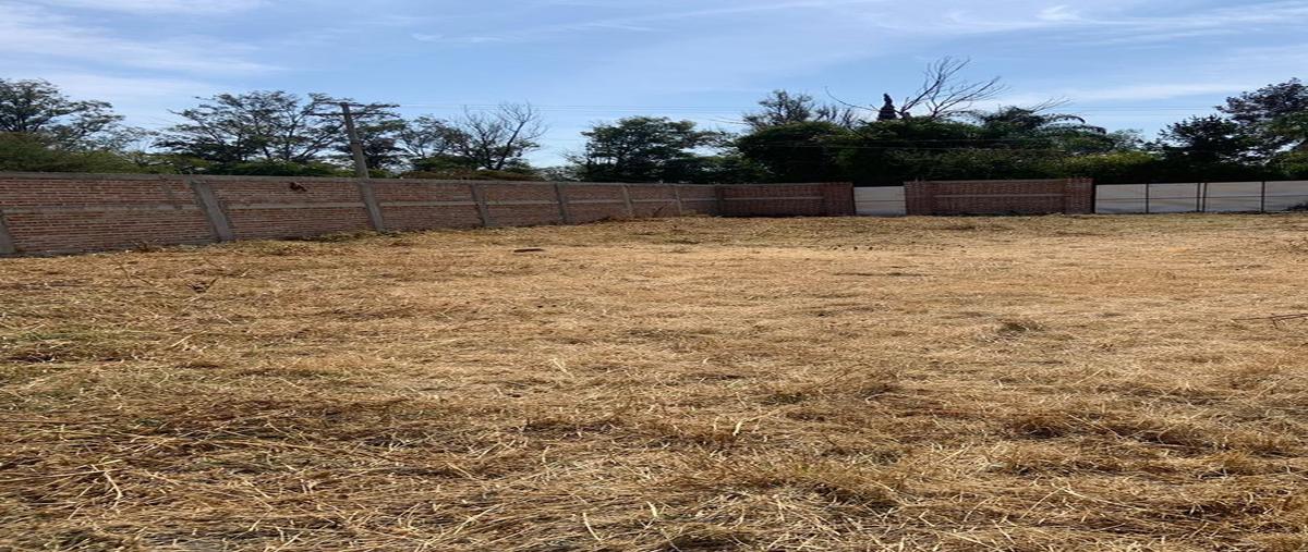 Foto de terreno habitacional en venta en  , los pedroza, san francisco del rincón, guanajuato, 0 No. 04
