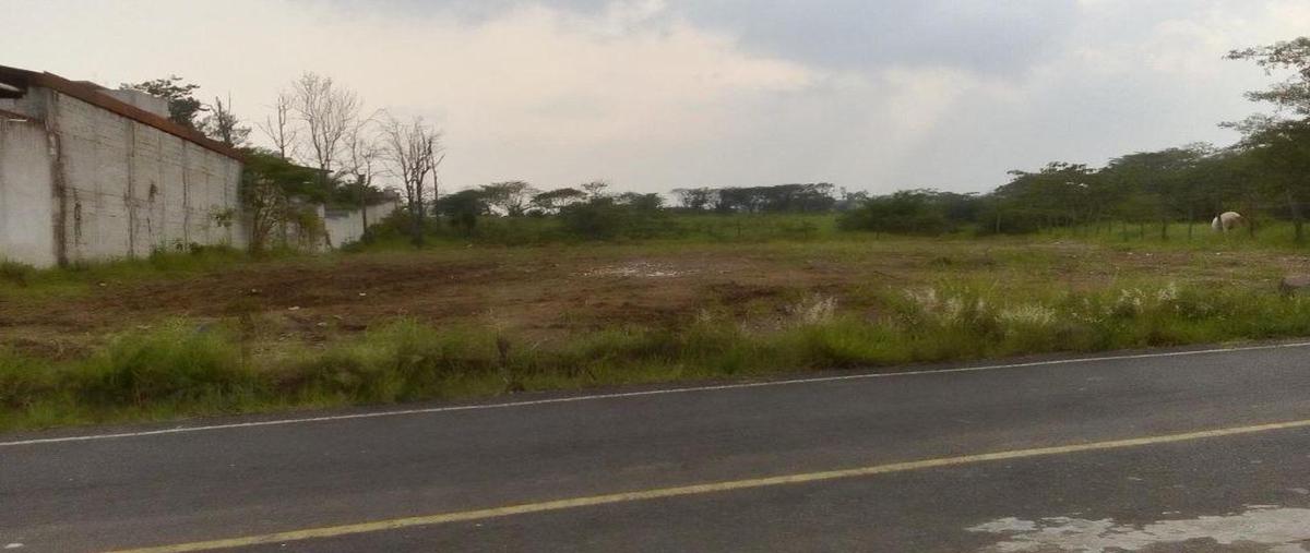 Foto de terreno habitacional en , los pinos, emiliano zapata, veracruz de ignacio de la llave, 0 foto 04 Foto de terreno habitacional en venta en , los pinos, emiliano zapata, veracruz de ignacio de la llave, 0 No. 04