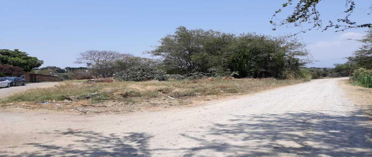 Foto de terreno habitacional en venta en  , los pinos jiutepec, jiutepec, morelos, 0 No. 01