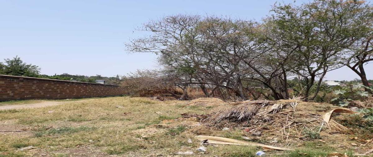 Foto de terreno habitacional en venta en  , los pinos jiutepec, jiutepec, morelos, 0 No. 02