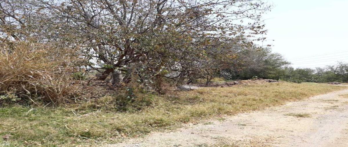 Foto de terreno habitacional en venta en  , los pinos jiutepec, jiutepec, morelos, 0 No. 03