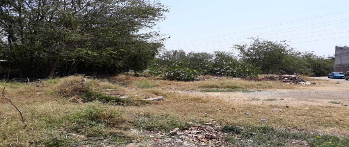 Foto de terreno habitacional en venta en  , los pinos jiutepec, jiutepec, morelos, 0 No. 04