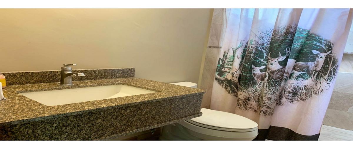 Foto de bodega en renta en  , los pinos, saltillo, coahuila de zaragoza, 0 No. 05