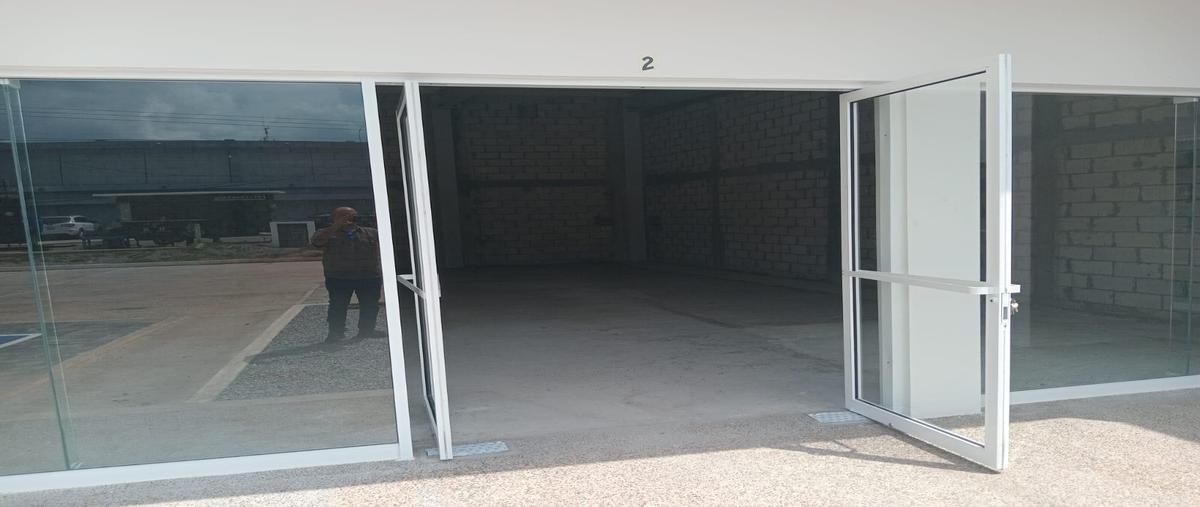 Foto de local en renta en  , los pinos, tampico, tamaulipas, 0 No. 05