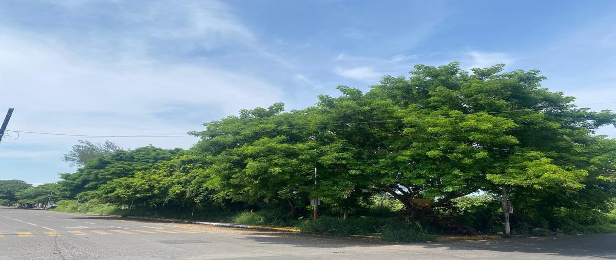 Foto de terreno habitacional en venta en  , los pinos, veracruz, veracruz de ignacio de la llave, 30218232 No. 04