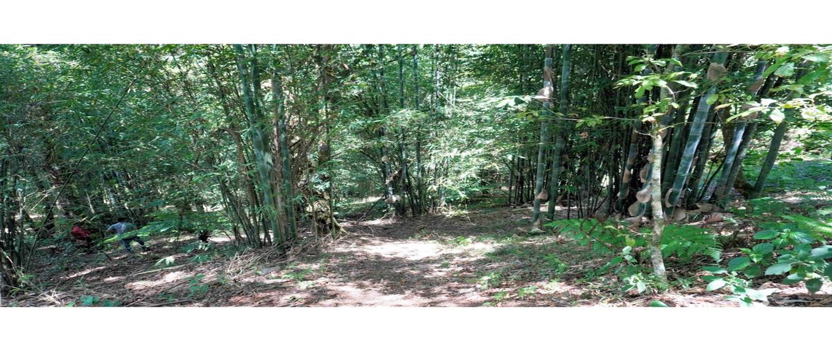 Foto de terreno habitacional en venta en  , los pinos, zihuateutla, puebla, 0 No. 04