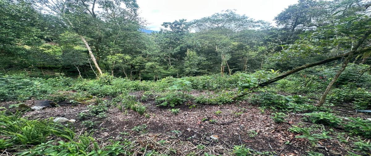 Foto de terreno habitacional en venta en  , los pinos, zihuateutla, puebla, 0 No. 04