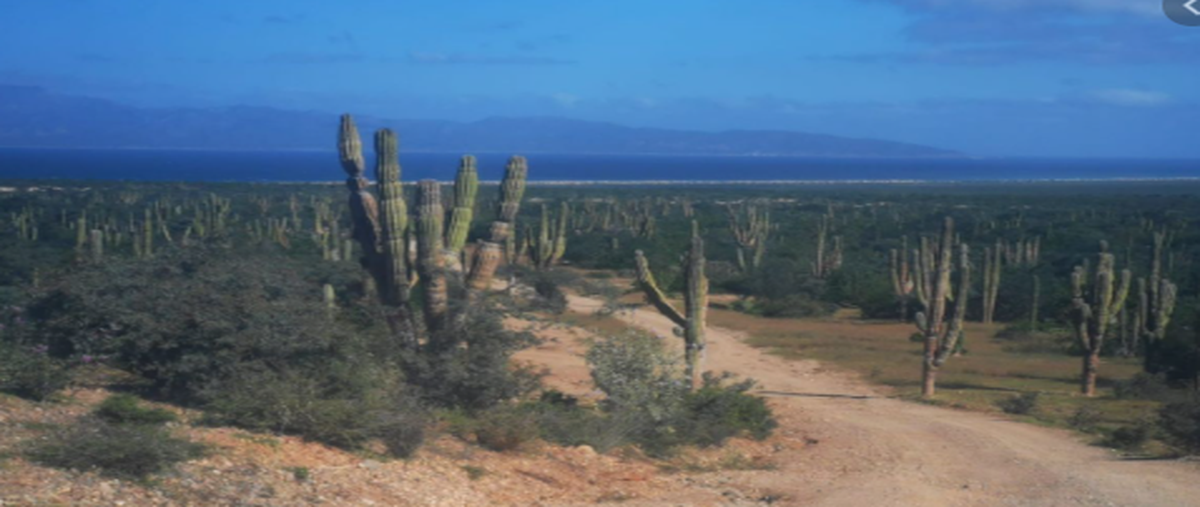 Foto de terreno habitacional en venta en  , los planes, la paz, baja california sur, 19135897 No. 05