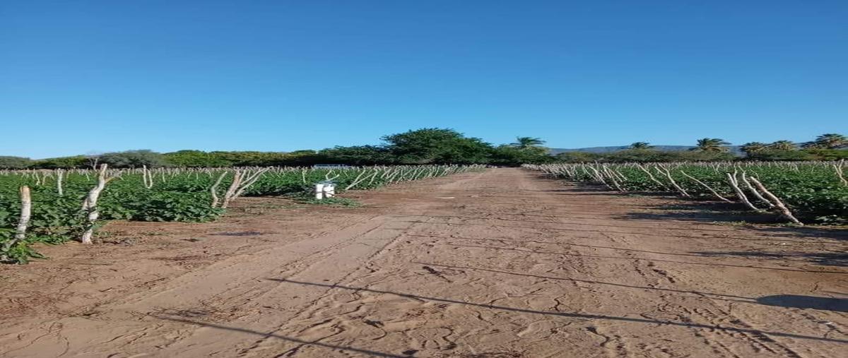 Foto de terreno habitacional en venta en  , los planes, la paz, baja california sur, 27029439 No. 04