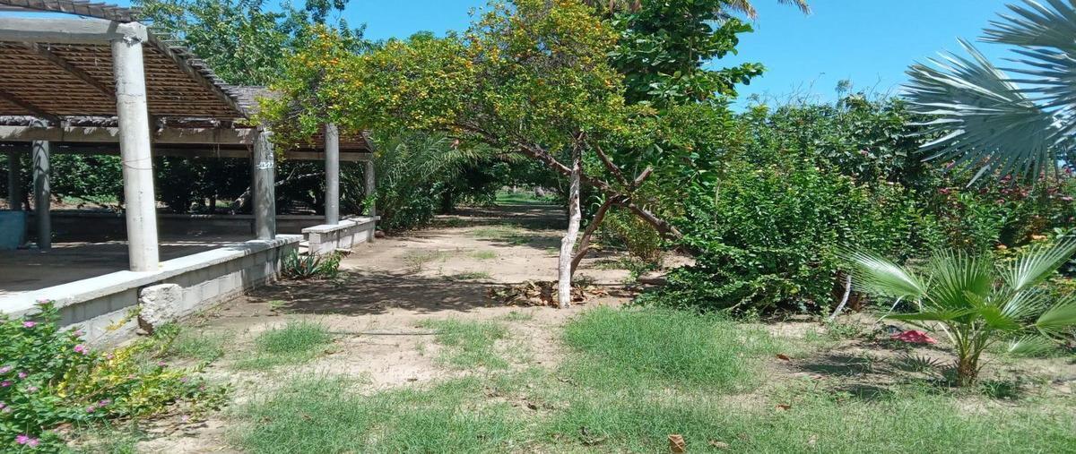 Foto de terreno habitacional en venta en  , los planes, la paz, baja california sur, 27029439 No. 05