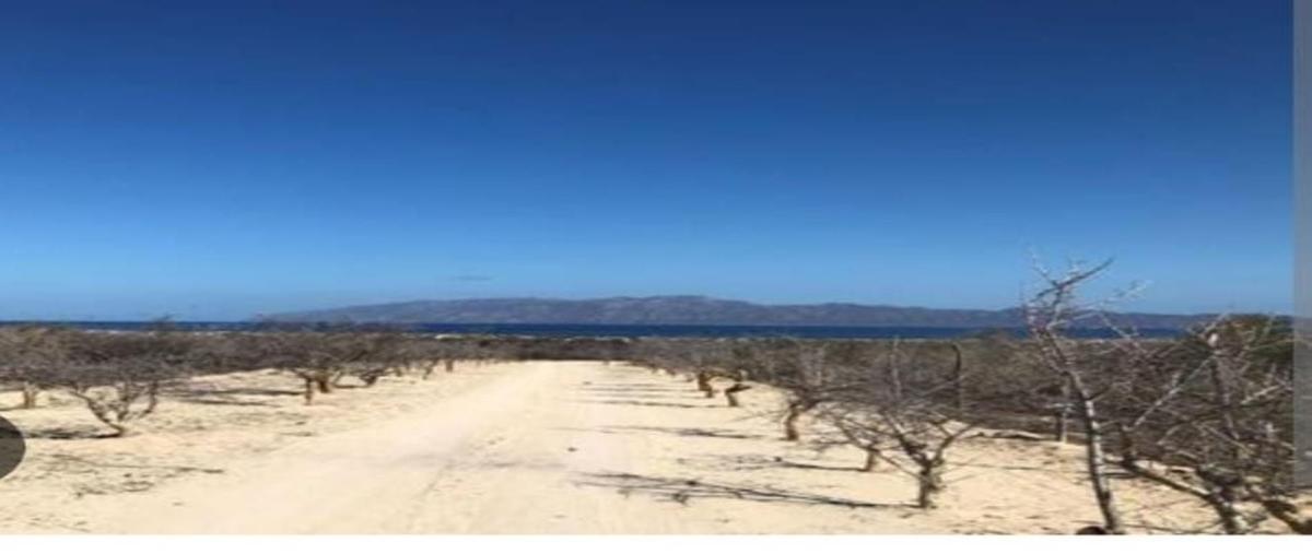 Foto de terreno habitacional en venta en  , los planes, la paz, baja california sur, 27385440 No. 03