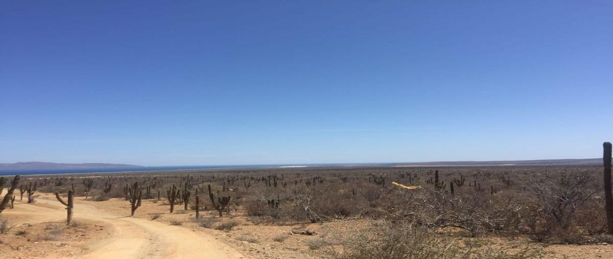 Foto de terreno habitacional en venta en  , los planes, la paz, baja california sur, 27647403 No. 02