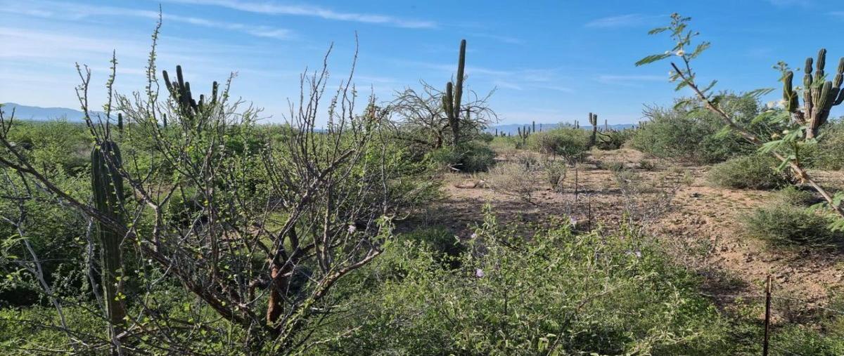 Foto de terreno habitacional en venta en  , los planes, la paz, baja california sur, 27647403 No. 03