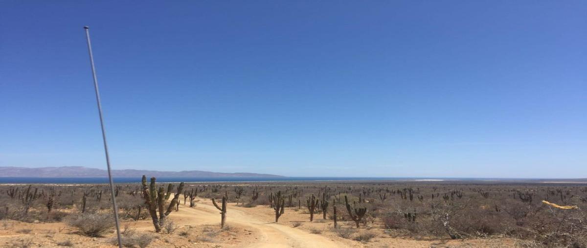 Foto de terreno habitacional en venta en  , los planes, la paz, baja california sur, 27647403 No. 04