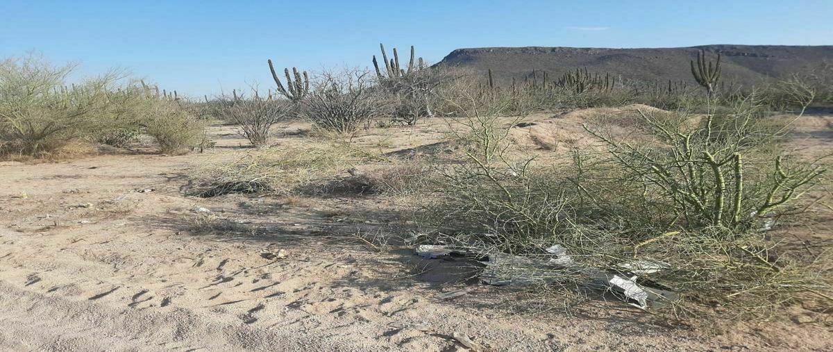 Foto de terreno habitacional en renta en  , los planes, la paz, baja california sur, 0 No. 01