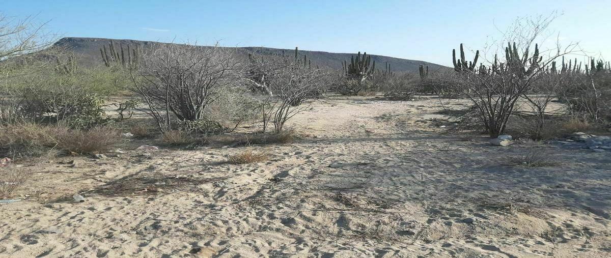 Foto de terreno habitacional en renta en  , los planes, la paz, baja california sur, 0 No. 03