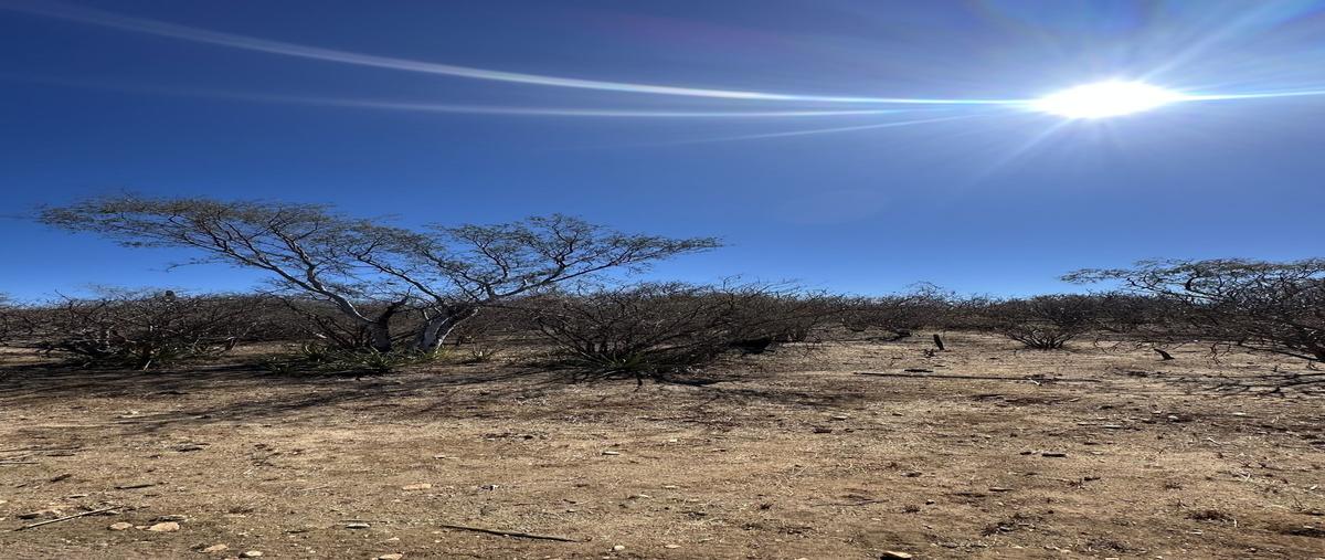 Foto de terreno habitacional en venta en  , los planes, la paz, baja california sur, 0 No. 03