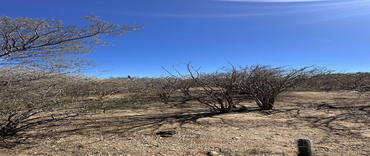 Foto de terreno habitacional en venta en  , los planes, la paz, baja california sur, 0 No. 04
