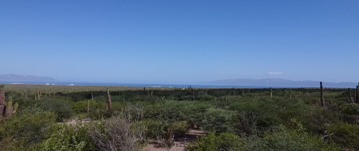 Foto de terreno habitacional en venta en  , los planes, la paz, baja california sur, 0 No. 03