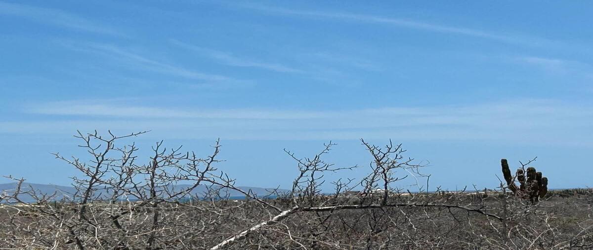 Foto de terreno habitacional en venta en  , los planes, la paz, baja california sur, 30212080 No. 02