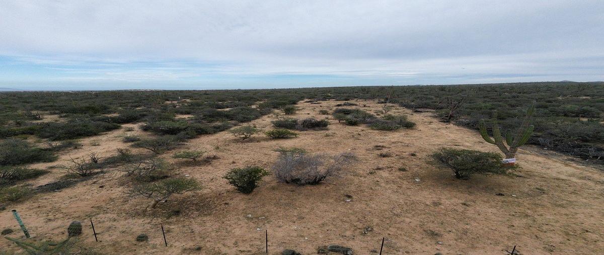 Foto de terreno habitacional en venta en  , los planes, la paz, baja california sur, 0 No. 03