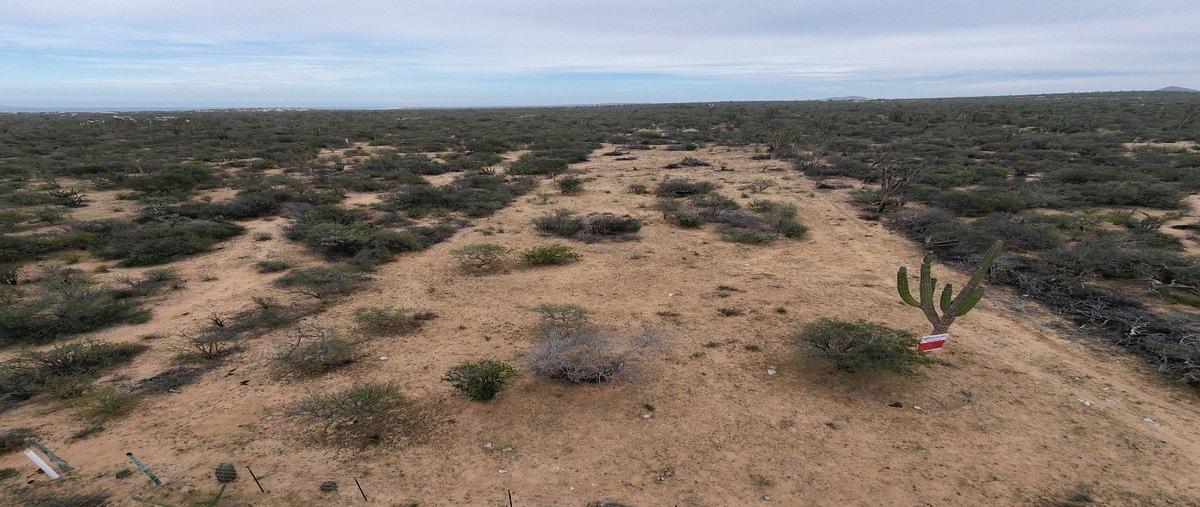 Foto de terreno habitacional en venta en  , los planes, la paz, baja california sur, 0 No. 04