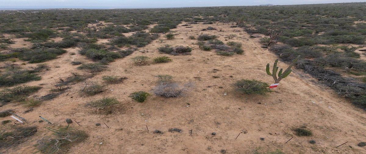 Foto de terreno habitacional en venta en  , los planes, la paz, baja california sur, 0 No. 05