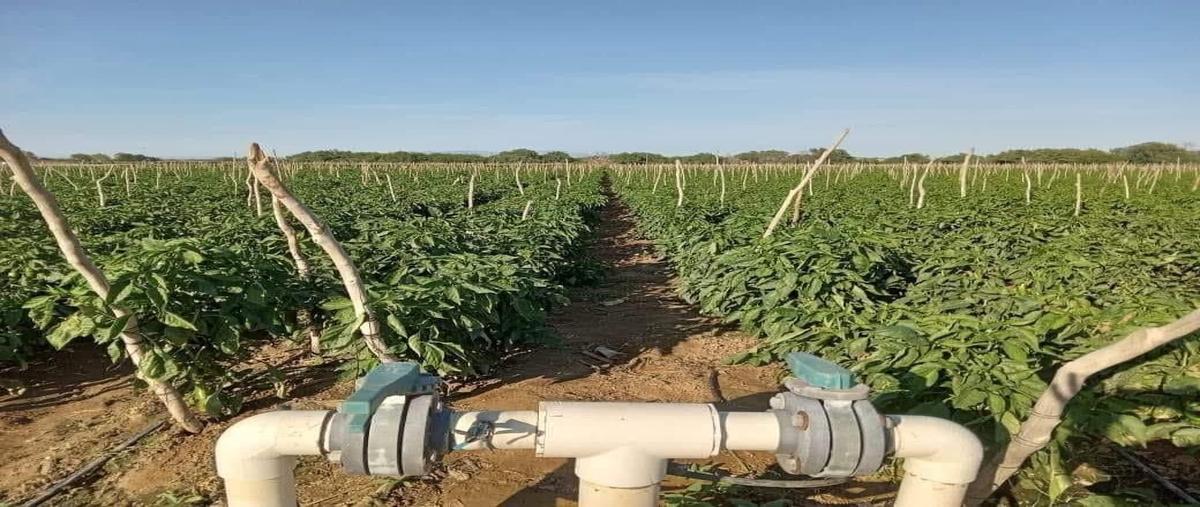Foto de terreno habitacional en los planes , los planes, la paz, baja california sur, 0 foto 01 Foto de terreno habitacional en venta en los planes , los planes, la paz, baja california sur, 0 No. 01