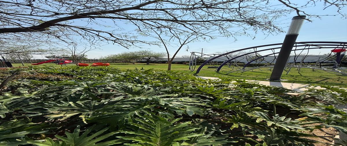 Foto de terreno habitacional en venta en  , los pocitos, aguascalientes, aguascalientes, 0 No. 03