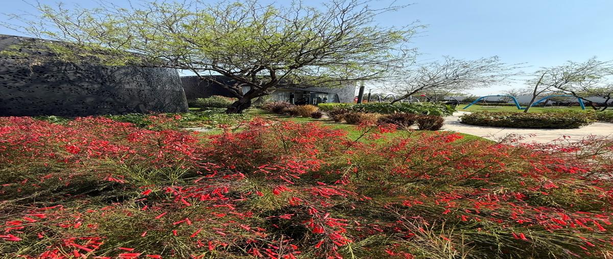 Foto de terreno habitacional en venta en  , los pocitos, aguascalientes, aguascalientes, 0 No. 05