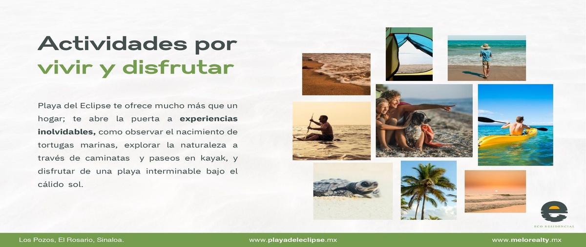 Foto de casa en venta en los pozos , los pozos, rosario, sinaloa, 29377989 No. 04