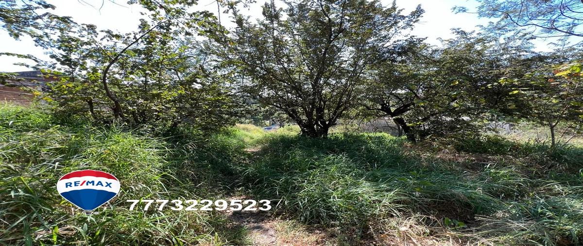 Foto de terreno habitacional en venta en los presidentes , los presidentes, temixco, morelos, 27272338 No. 03