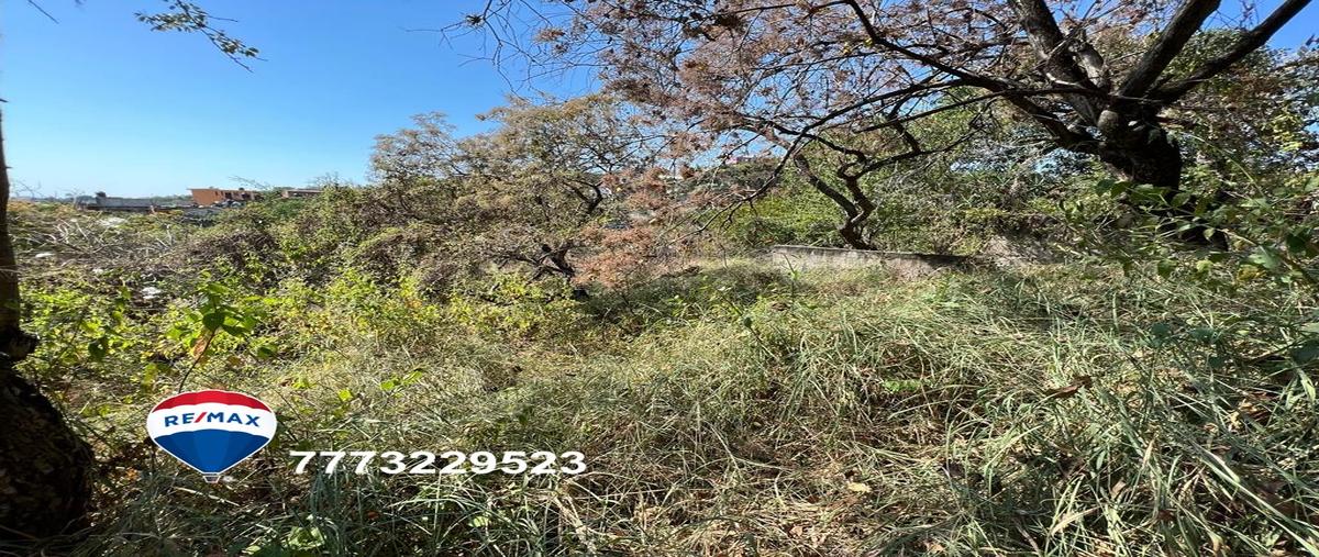 Foto de terreno habitacional en venta en los presidentes , los presidentes, temixco, morelos, 27272338 No. 04