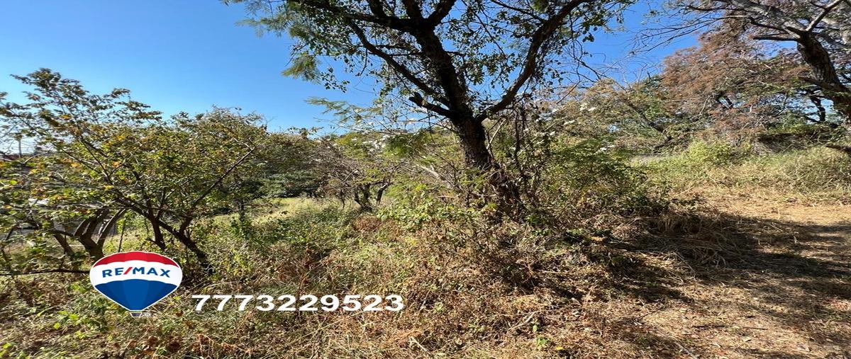 Foto de terreno habitacional en venta en los presidentes , los presidentes, temixco, morelos, 27272338 No. 05