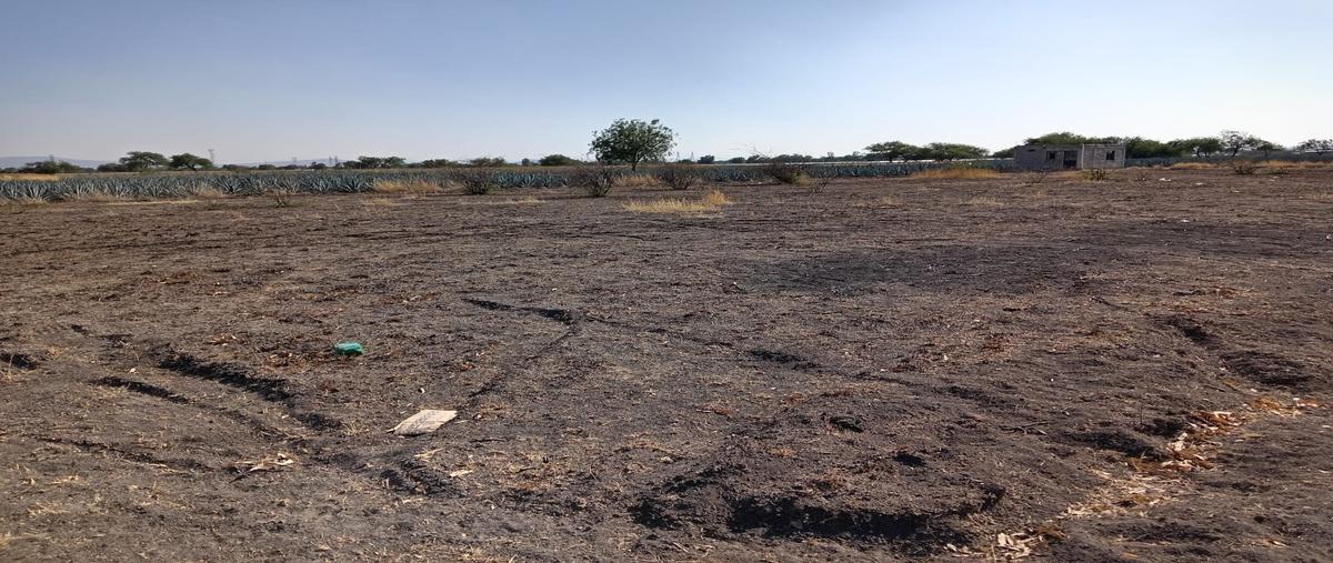 Foto de terreno habitacional en venta en los ramales , guadalupe de ramales (los pilares), silao de la victoria, guanajuato, 30001799 No. 03