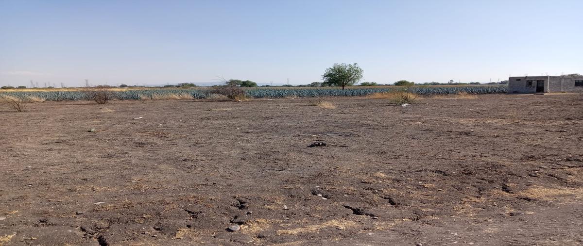 Foto de terreno habitacional en venta en los ramales , guadalupe de ramales (los pilares), silao de la victoria, guanajuato, 30001801 No. 03