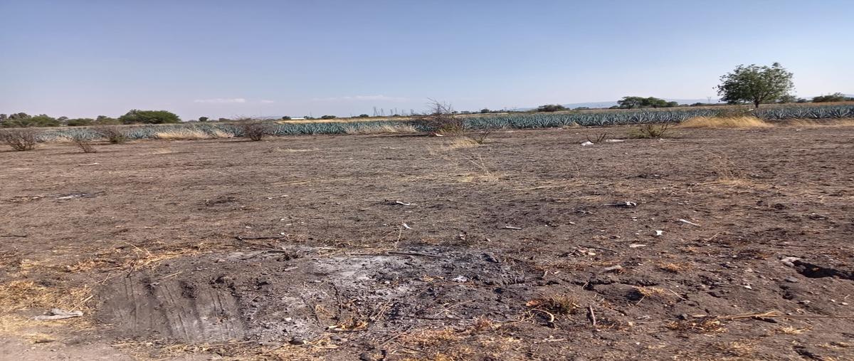 Foto de terreno habitacional en venta en los ramales , guadalupe de ramales (los pilares), silao de la victoria, guanajuato, 30001801 No. 04