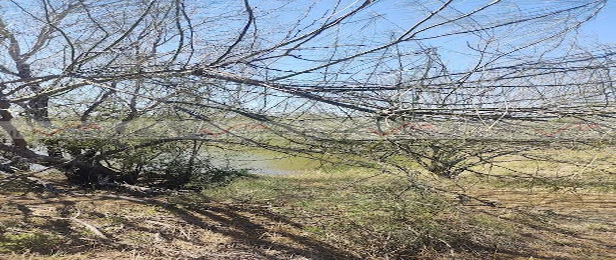 Foto de terreno habitacional en venta en los ramones , los ramones, los ramones, nuevo león, 28268015 No. 04