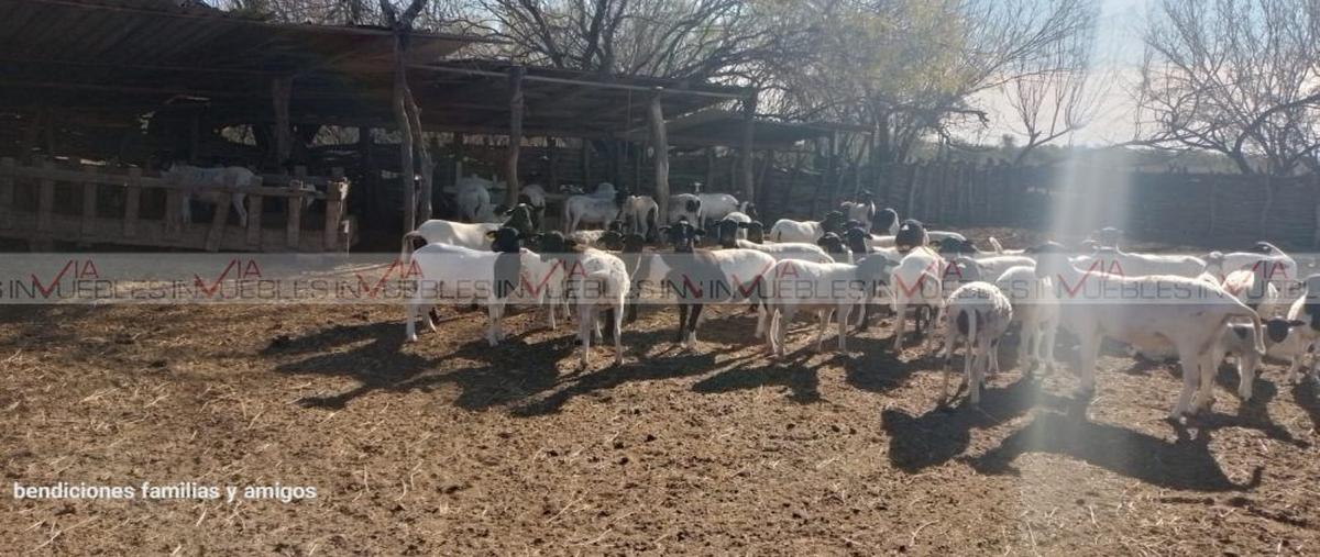 Foto de rancho en los ramones , los ramones, los ramones, nuevo león, 0 foto 02 Foto de rancho en venta en los ramones , los ramones, los ramones, nuevo león, 0 No. 02