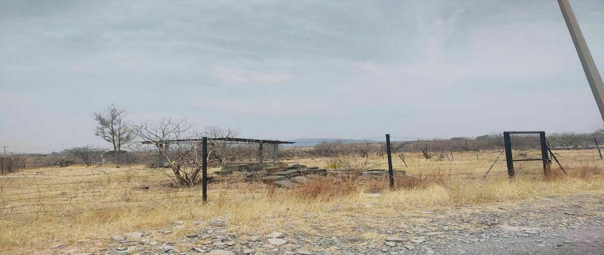 Foto de terreno habitacional en venta en  , los rangeles, salamanca, guanajuato, 20230900 No. 04