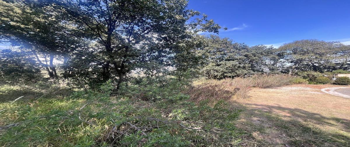 Foto de terreno habitacional en venta en los reales , club de golf valle escondido, atizapán de zaragoza, méxico, 0 No. 03