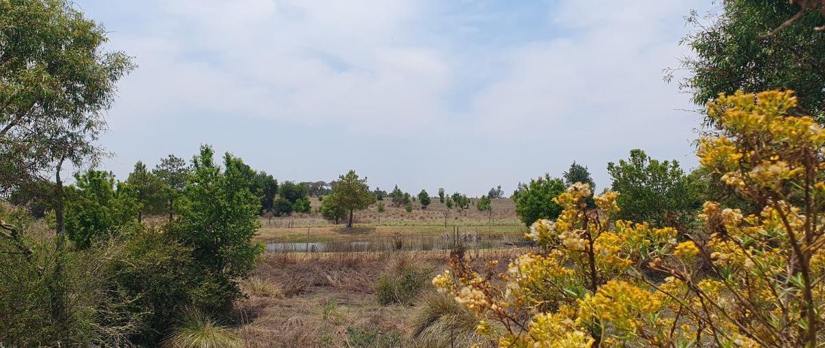 Foto de terreno habitacional en venta en los reflejos , los espinos, tapalpa, jalisco, 28051214 No. 05