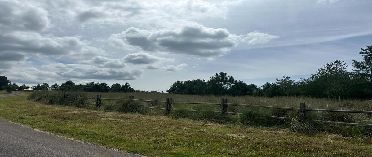 Foto de terreno habitacional en venta en los reflejos , los espinos, tapalpa, jalisco, 29928809 No. 03