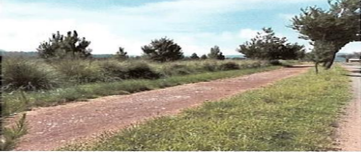 Foto de terreno habitacional en venta en los reflejos , tapalpa, tapalpa, jalisco, 0 No. 04